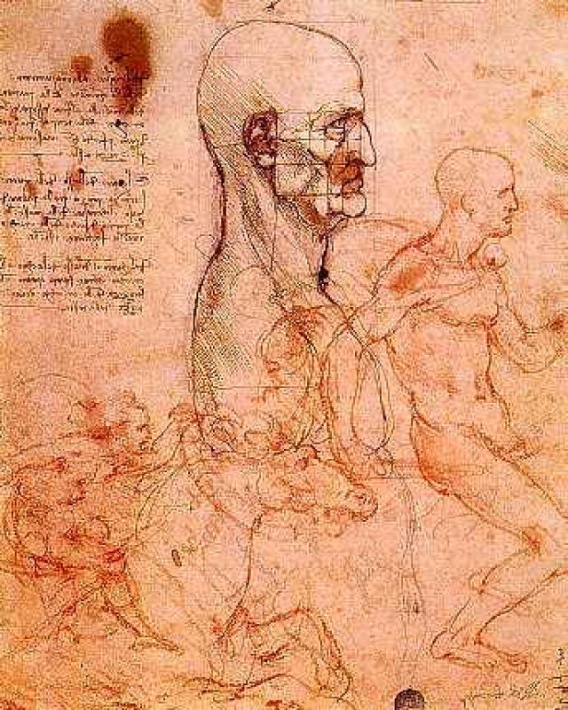 hombre de perfil con las proporciones de la cabeza esbozo de dos jinetes hacia 1490 y 1504.jpg